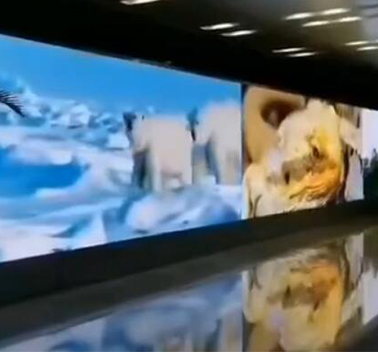 室內(nèi)LED顯示屏 室內(nèi)LED顯示屏